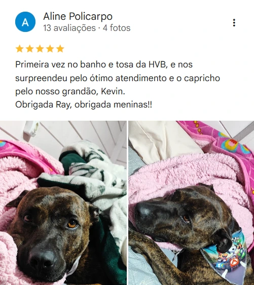 Avaliação real de tutor no Google