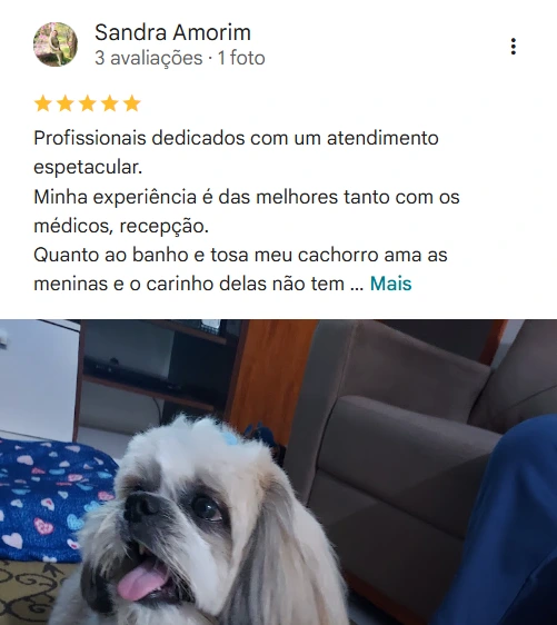 Avaliação real de tutor no Google