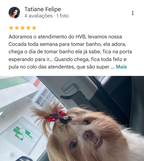 Avaliação real de tutor no Google