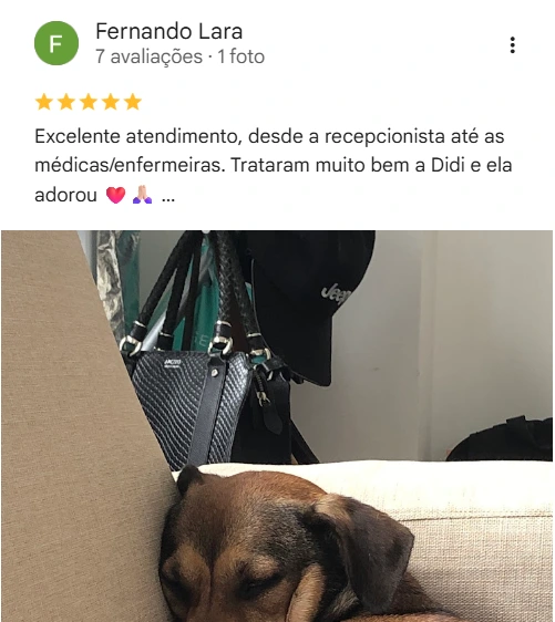 Avaliação real de tutor no Google